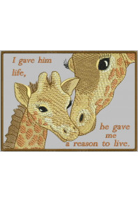 Pet008 - Mom and baby giraffe